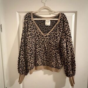 Abercrombie & Fitch Leopard V-Neck Sweater